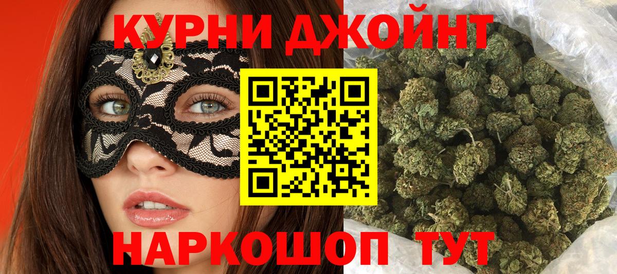 Конопля Ganja Новокубанск